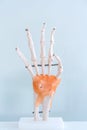 Artificial human Hand plastic model in medical center for learning