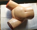 Artificial human model of abdominal and pelvic parts used for teaching purposes.