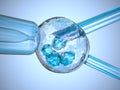 Artificial insemination : glass needle fertilizing a female egg