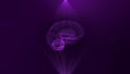Artificial intelligence AI brain animation, data mining, deep learning modern computer technologies concepts. Royalty Free Stock Photo