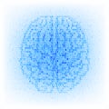 Artificial intelligence concept. Binary code brain icon.