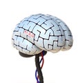 Artificial intelligence concept, bionic brain, robot brain 3d rendering Royalty Free Stock Photo