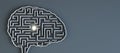 Artificial intelligence and creative idea concept with man near glowing light bulb in labyrinth in form of human brain on blank Royalty Free Stock Photo