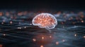 Artificial Intelligence and Digital Neural Network with Glowing Human Brain on Futuristic Circuitry Royalty Free Stock Photo