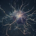 a cluster of neuron floats and branches out with axons and dendrites of cells in the brain\'s outer layers.