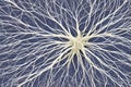 a cluster of neuron floats and branches out with axons and dendrites of cells in the brain\'s outer layers.