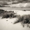 image of a deserted beach with an old boat, broken fence around the dunes and clusters of sea oats. Royalty Free Stock Photo