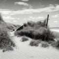 image of a deserted beach with an old boat, broken fence around the dunes and clusters of sea oats. Royalty Free Stock Photo