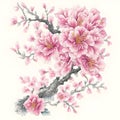 image of a intricate watercolor baroque sakura blossom, tattoo design and outline.