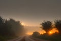 image of an early morning elevated shot of a dirt road winding through overgrown bush. Royalty Free Stock Photo