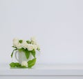 The artificial jasmine flower in the pot at the white table with