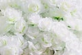 Artificial Jasmine white flowers