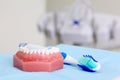 Artificial jaw and toothbrush are on table Royalty Free Stock Photo