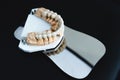 Artificial jaw with zirconium crowns, stands on a surgical mirror in a dental office. Dentistry and treatment concept