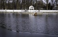 An artificial lake in the center of a snow-covered park Royalty Free Stock Photo