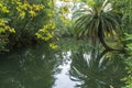 Artificial lake in Curia in Portugal.