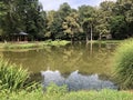 Artificial lake pond in the park of Pejacevic castle or Umjetno jezero ribnjak u perivoju dvorca Pejacevic