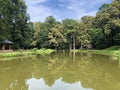 Artificial lake pond in the park of Pejacevic castle or Umjetno jezero ribnjak u perivoju dvorca Pejacevic