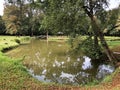 Artificial lake pond in the park of Pejacevic castle or Umjetno jezero ribnjak u perivoju dvorca Pejacevic