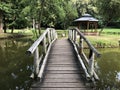 Artificial lake pond in the park of Pejacevic castle or Umjetno jezero ribnjak u perivoju dvorca Pejacevic