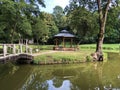 Artificial lake pond in the park of Pejacevic castle or Umjetno jezero ribnjak u perivoju dvorca Pejacevic