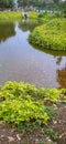 An artificial lake in which there are lots of fish