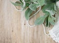 Lambs Ear, Pearls, And Lace