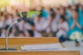 Artificial leaf inserted in the desktop microphone stand on podium in the auditorium Royalty Free Stock Photo