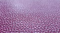 Artificial leather is bright pink or fuchsia. Distinct furrows and elevations on the surface of a bag or shoe. Reflection of the Royalty Free Stock Photo