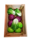 The artificial Lettuce and Purple cabbage which is made of plastic, displaying on brown straw in a wooden box, isolated on white. Royalty Free Stock Photo