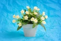 Artificial light yellow Primula (Primrose) flower in a ceramic flowerpot