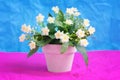 Artificial light yellow Primula (Primrose) flower in a ceramic flowerpot