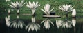 Artificial lotus flowers in a pond of a park in Kolkata