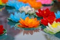 Artificial lotus flowers in various colors floating on the water surface with beautiful reflection.