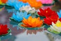 Artificial lotus flowers in various colors floating on the water surface with beautiful reflection. Royalty Free Stock Photo