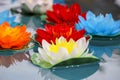 Artificial lotus flowers in various colors floating on the water surface with beautiful reflection. Royalty Free Stock Photo