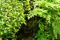 Artificial mini waterfall among green tropical plants Royalty Free Stock Photo