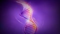 Double-stranded helix DNA model on violet background, 3D render. Royalty Free Stock Photo