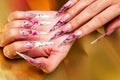 Artificial nails art