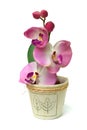Artificial orchid Royalty Free Stock Photo