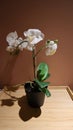 Artificial orchid flower room decoration