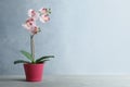 Artificial orchid plant in pink flower pot on grey wooden table. Space for text