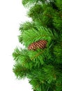 Artificial pine tree branch