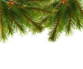 Artificial pine tree branch