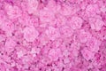 Artificial pink flowers sweet wallpaper background Royalty Free Stock Photo