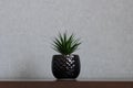 Artificial plant in back vase centered on shelf with earth tones Royalty Free Stock Photo