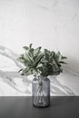 Isolated artificial plant in glass vase on gray spray-painted working table with marble wall in the background /apartment interi