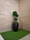 Artificial plants in a large pot in the corner of a marble wall, as if a natural appearance inside a sturdy building. Royalty Free Stock Photo