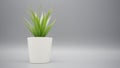 Artificial plants or plastic or fake tree on gray background