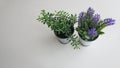 Artificial plants or plastic or fake tree and lavender flower on white background